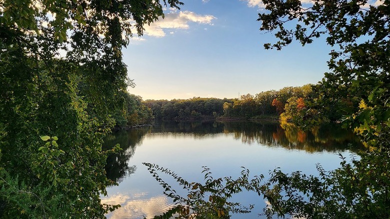 A placid lake surrounded by trees during a sunny day at Rothwell Park in Moberly.
