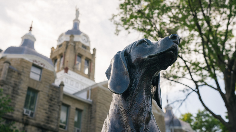 Monument to a historically beloved dog in downtown Warrensburg