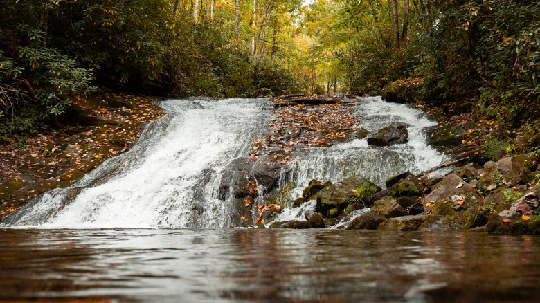 Indian Creek Falls at the Deep Creek Waterfall Loop, Great Smoky Mountains National Park