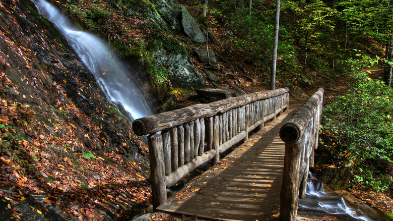 a wooden footbridge crossing the Juney Whank Falls in Deep Creek Area, Great Smoky Mountains National Park