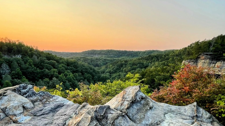 A view of the canyon at Pogue Creek Canyon State Natural Area