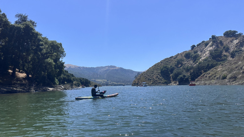 Someone on a boat with their dog at the Lake Piru Recreation Area in Piru, California