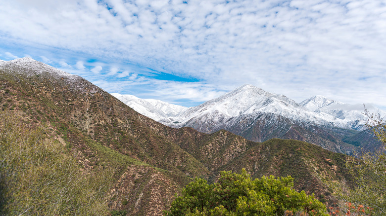 A view of Potato Mountain and the surrounding mountains in the San Gabriel Mountain range