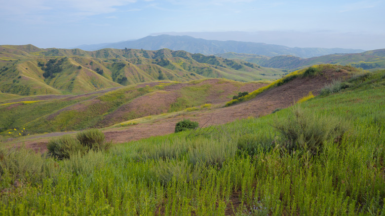 A spring time shot of Chino Hills State Park in Chino Hills, CA