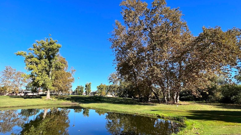 trees and water in Lake Forest Golf and Practice Center, California