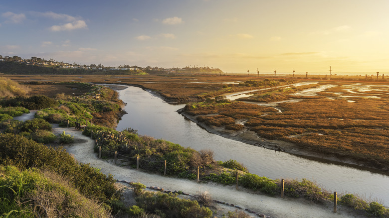 Lagoon and marshland glowing at sunset at San Elijo Lagoon in Cardiff, California