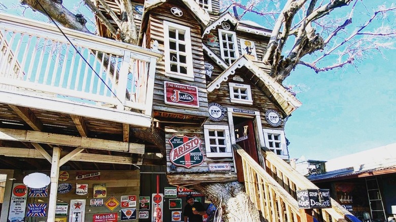 Bravo Farms chaotically designed treehouse vintage signs exterior