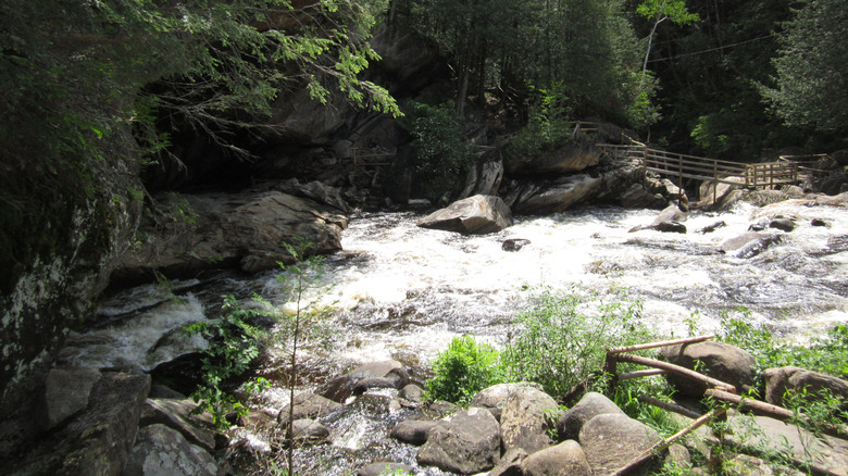 View of a stream running through a forest in Pottersville, New York with wooden walkways surrounding the stream during the day
