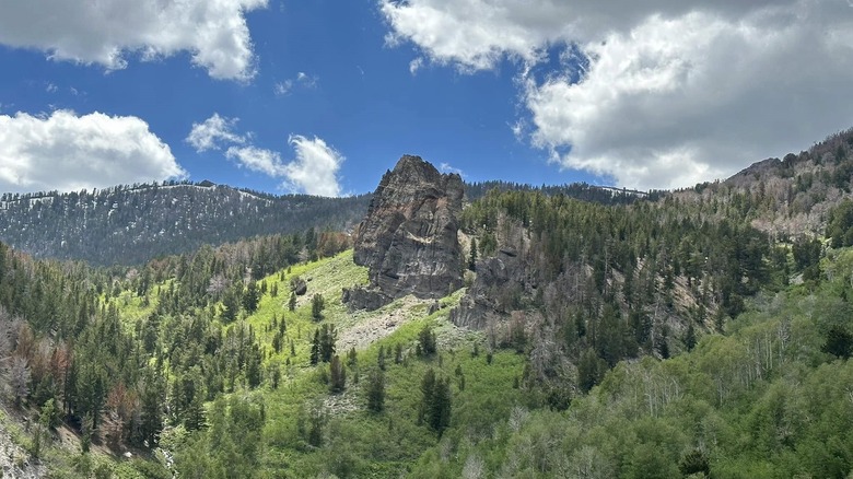 A large rock formation sits among the hills covered with evergreens, along the Upper Thomas Creek Trail in Nevada