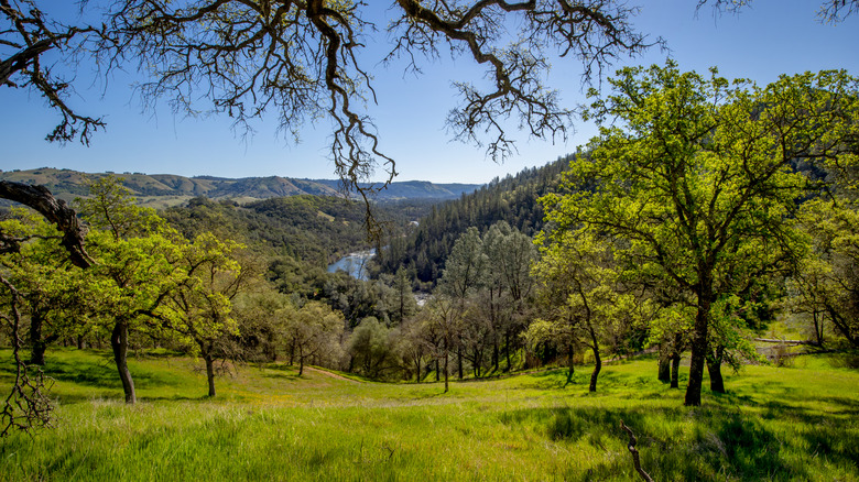 South Fork of American River surrounded by lush hills in spring