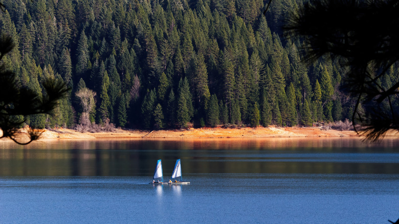 Two sailboats float on water in Pollock Pines