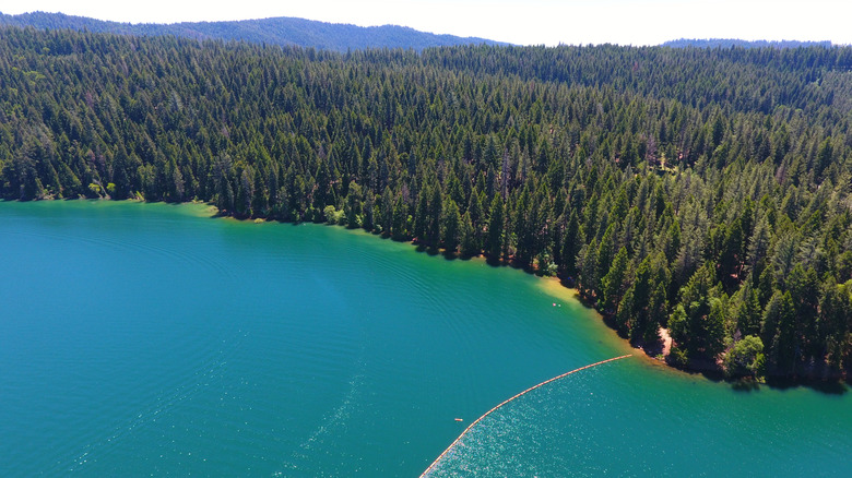 Blue waters and green forests in the Sly Park Recreation Area just outside of Pollock Pines