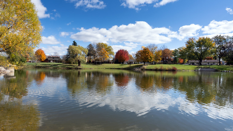 River in Michigan with fall leaves and homes on the far shore, under a blue sky