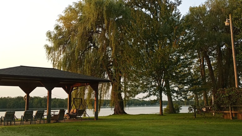 A picnic area on the shores of Thornapple Lake, with tall trees, green grass, and a pavilion with chairs and the water behind