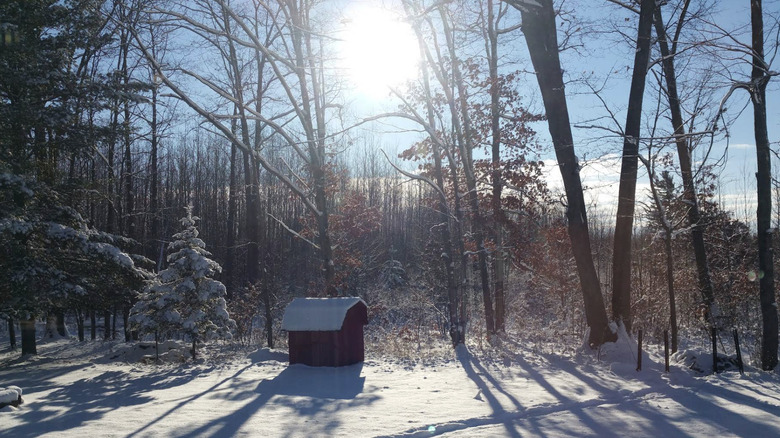small wood cabin in Roscommon State Forest Area, Michigan