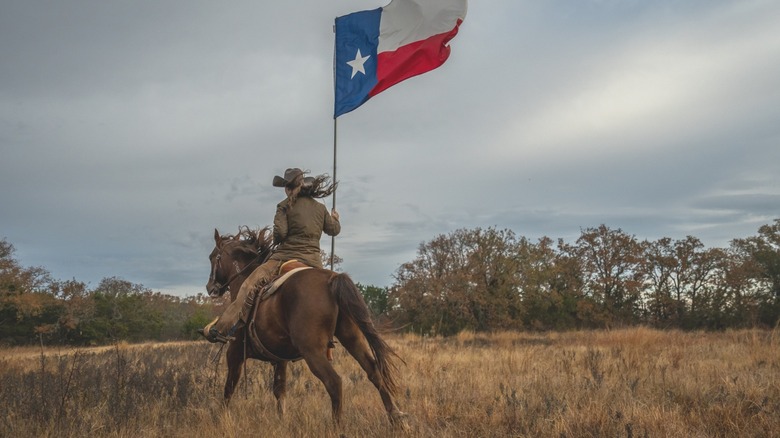 Cowgirl on the back of a horse holding the Texas flag
