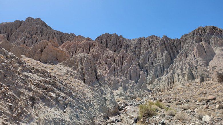 View from the Afton Canyon area, Mojave Trails National Monument, California