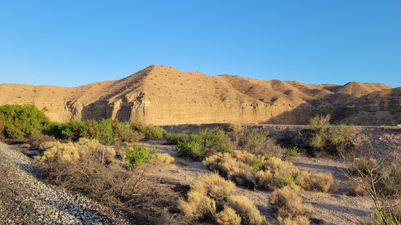 View of Afton Canyon, California