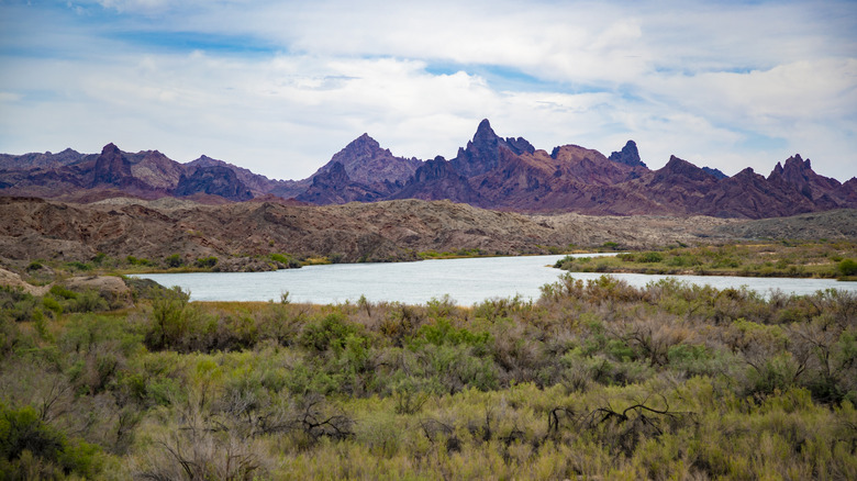 Marsh and mountains in Topock, Arizona