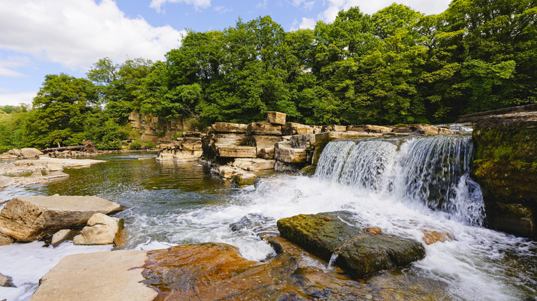 Richmond waterfall on blocks of limestone with trees around it
