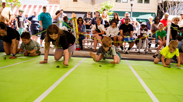 people on the ground racing frogs