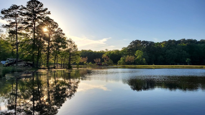 Calm lake reflecting the trees on a sunny day at White Oak Lake State Park, Arkansas