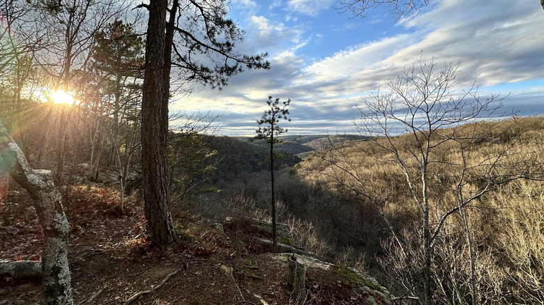 Overlook across the Ozarks at Devils Canyon in Arkansas