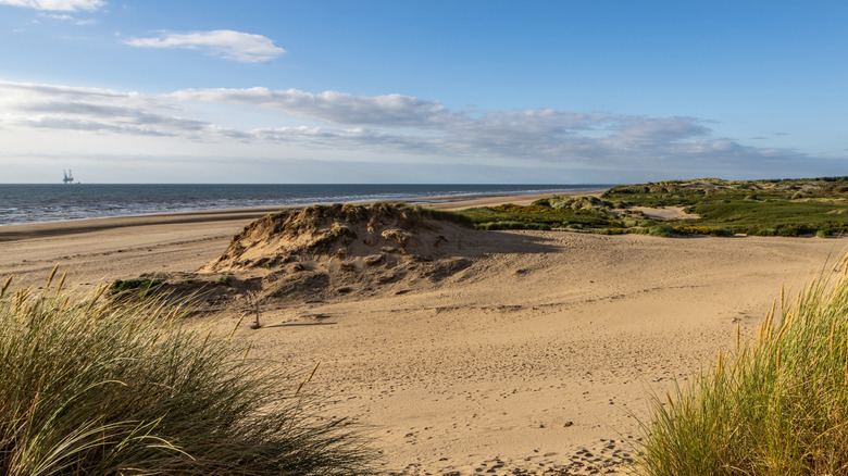 Sand dunes leading out to the coast in Formby, England