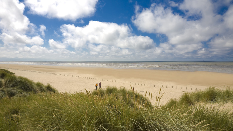 Two figures walking on the sands of Ainsdale Beach in Southport, UK, blue skies and puffy white clouds overhead, with beige sands and the sea below