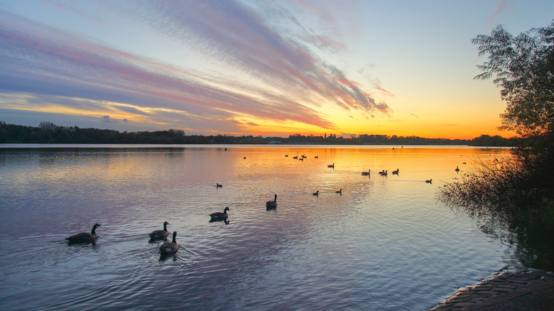 The large Pennington Flash during sunset.