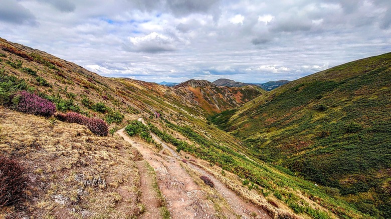 Looking into a colorful valley in the Shropshire Hills