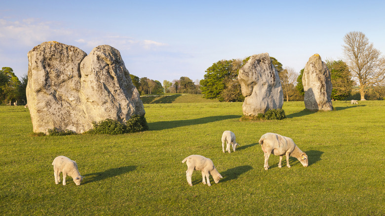 Sheep grazing among huge prehistoric stones at Avebury