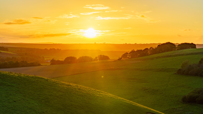 Sunset over fields, hills, trees, and ridges of North Wessex Downs National Landscape