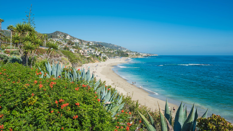 A view over Laguna Niguel's shoreline