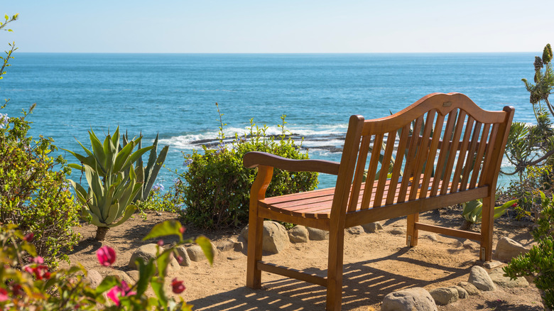 A bench overlooking the sea in Laguna Niguel, CA