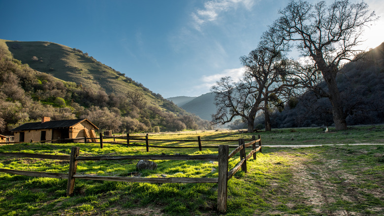 A scenic pathway at Fort Tejon State Historic Park