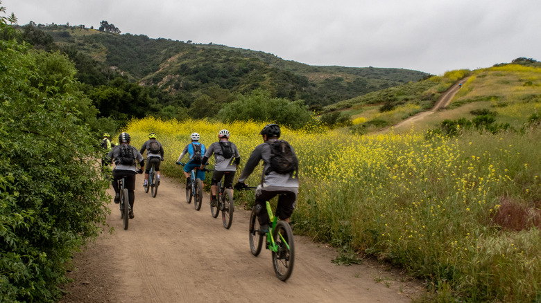 A group of mountain bikers on a path in Aliso and Wood Canyons Wilderness Park in Aliso Viejo, California