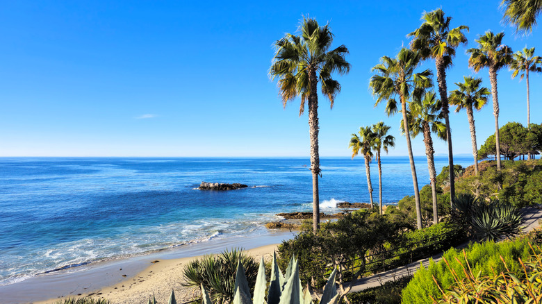 Heisler Park in Laguna Beach, Florida