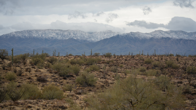 Views of the Harquahala Mountain from Salome, Arizona