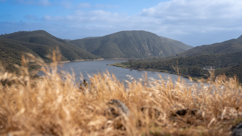 Aerial view of Lake Hodges adjacent to Elfin Forest Recreational Reserve