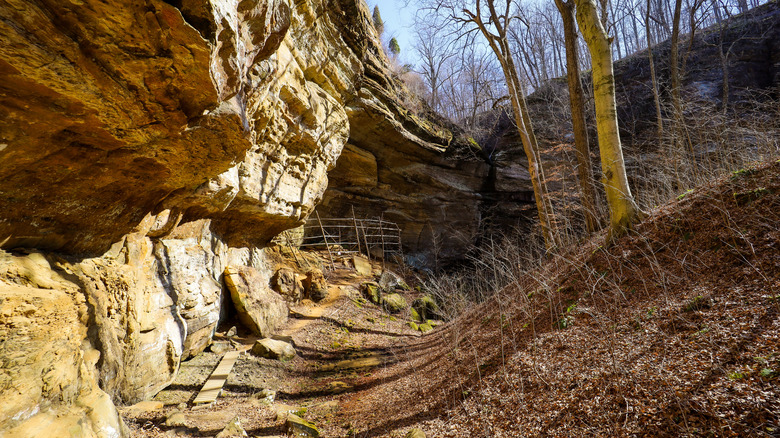 Trail alongside Jeffreys Cliffs Conservation & Recreation Area in Kentucky during the day.