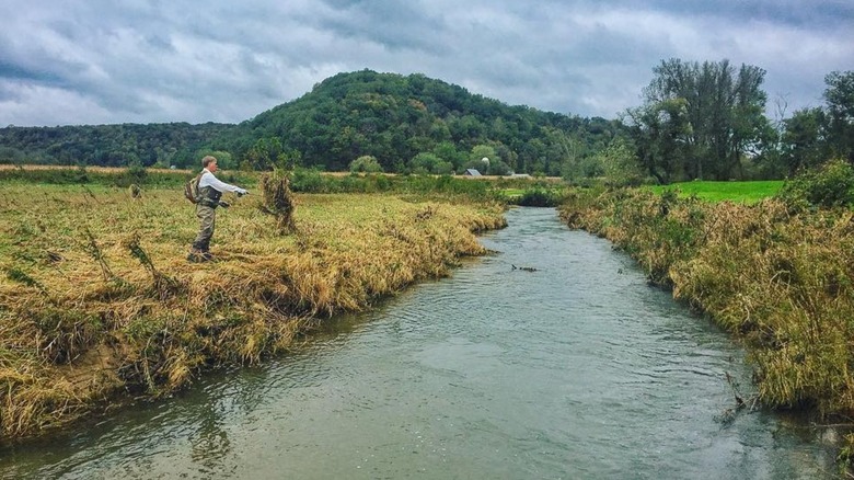 A person fishing on the banks of the West Fork of the Kickapoo river on a cloudy day.