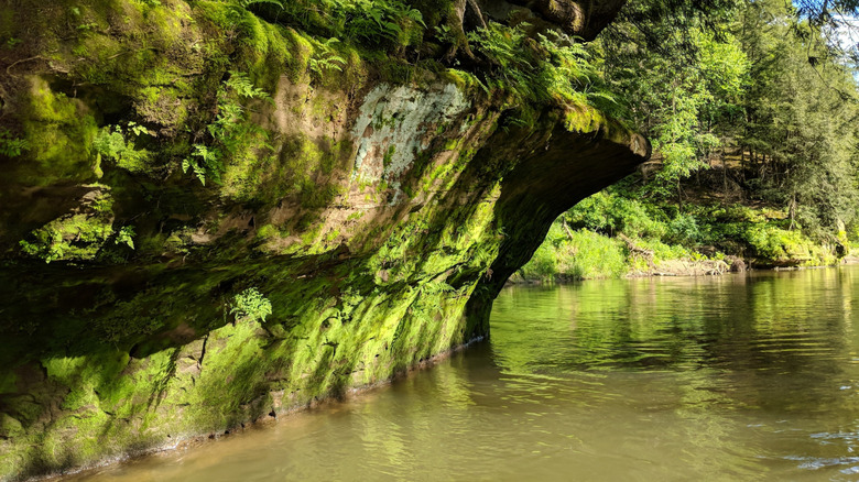 Mossy, rocky cliff walls along the Kickapoo River