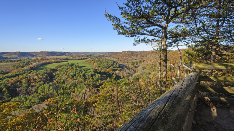 Scenic views over trees and landscapes from Wildcat Mountain State Park, Wisconsin