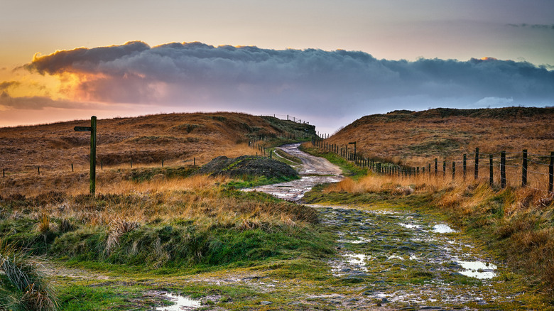 A moorland trail near Marsden