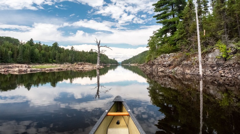 A canoe in a river taken from POV of person in the canoe