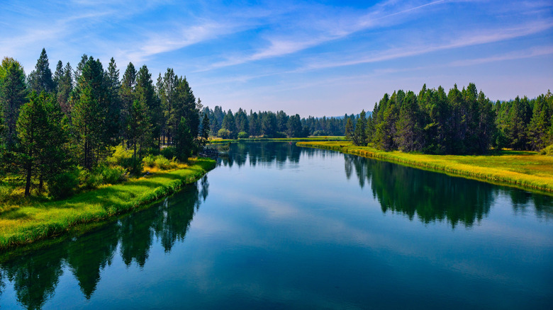 A beautiful and till river with trees and thick grass on either side