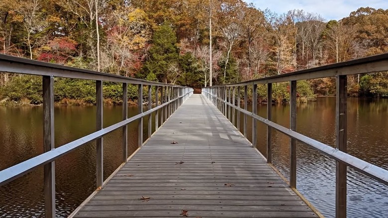 A wooden bridge surrounded by water