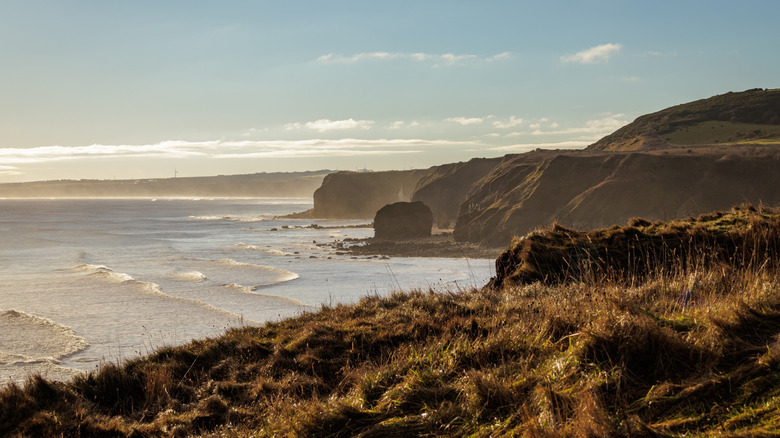 Cliffs overlooking the sea at Hawthorn Dene Nature Reserve in England
