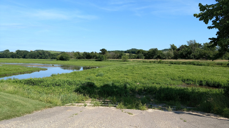 Grass and trees surrounding the lake at Field Veterans Memorial Park in Hillsboro, Wisconsin